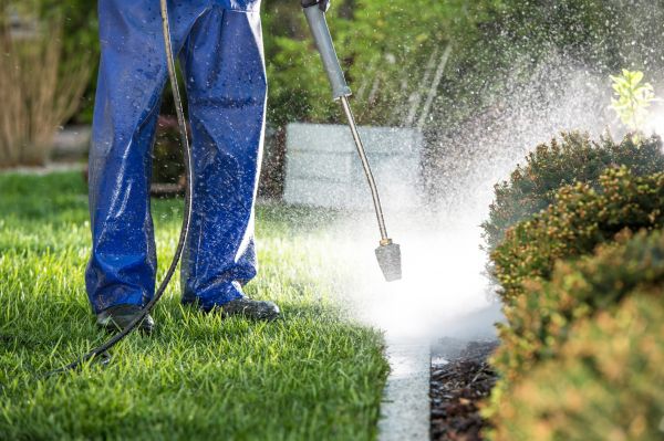 Curb Cleaning in Breckenridge