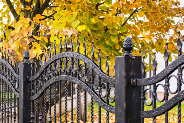 Wrought Iron Fence Washing in Breckenridge