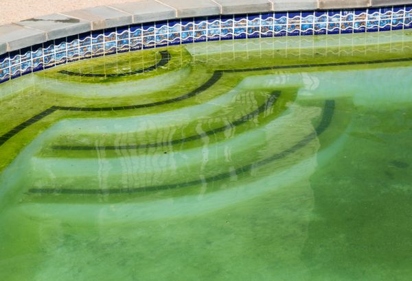Pool Deck Algae Removal in Breckenridge