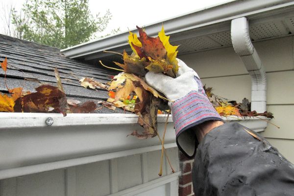 Eaves Cleaning in Breckenridge