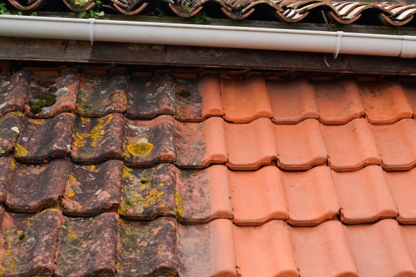 Industrial Roof Cleaning in Breckenridge