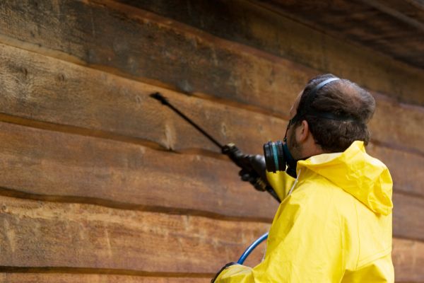 Cedar Siding Washing in Breckenridge